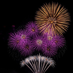 Fototapeta premium fireworks in the night sky