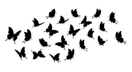 Fototapeta premium A collection of black butterfly silhouettes flying and scattered across a white background, creating a decorative pattern.