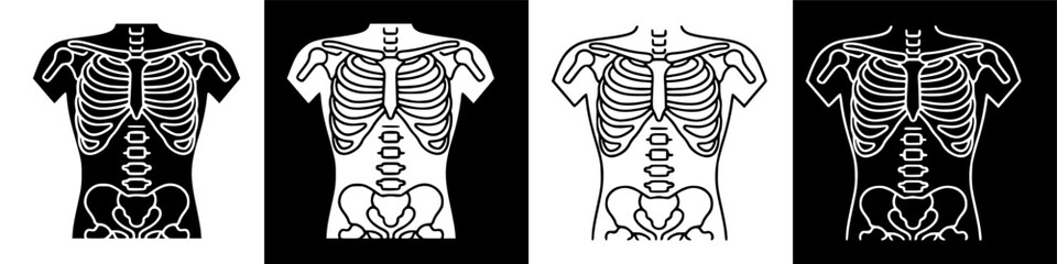 Front View X-ray Style Diagram of Human Rib Cage and Spinal Column Anatomy