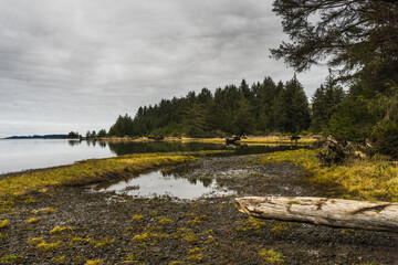 Tillamook  Kilchis Point Reserve in Bay City, Oregon
