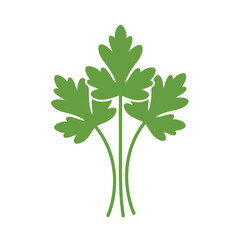 Naklejka premium Green parsley leaves on a white background suitable as a fresh ingredient for recipe books, cooking blogs, organic food packaging.