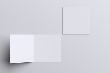 Bifold Brochure Blank