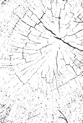 Abstract cracked wood texture pattern with radiating lines