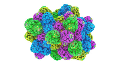 Colorful abstract molecular structure with interconnected organic shapes and vibrant hues isolated on transparent background