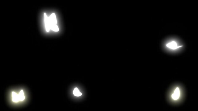 白く光る蝶が舞う3DCG黒背景　ループ動画