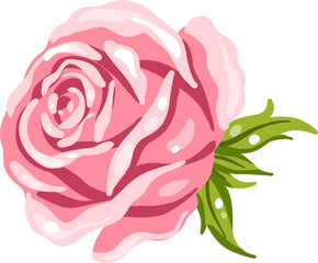 Pink Rose Illustration