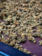 Dried Cannabis Flowers Focus: Marijuana Buds Close-up with Shallow Depth of Field Macro Detail Texture