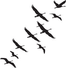 set of silhouettes of birds