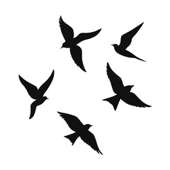 Obraz premium set of silhouettes of birds