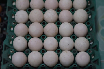 Preserved Egg salted egg: A Chaiya Salted Duck Egg Coated in Clay and Charcoal in white background from Chaiya district, Surat Thani province, Thailand, Chaiya Salted Egg