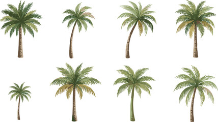 Obraz premium Set of Eight Different Watercolor Palm Tree Varieties Vector Illustration, Ideal for Tropical Vacation, Summer Travel, Beach, or Resort Design Elements