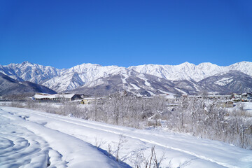 雪景色の白馬村と北アルプス