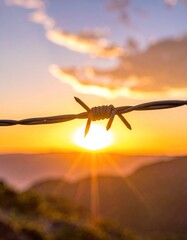 Barbed wire silhouette against a sun-drenched mountain range