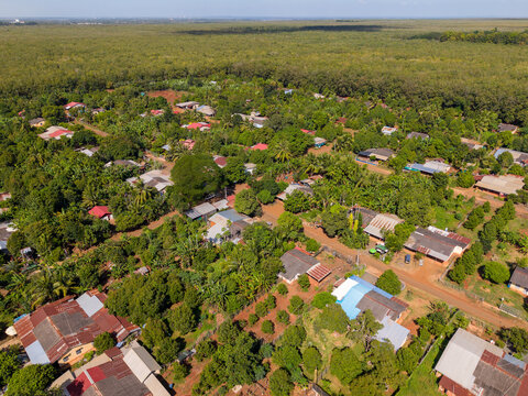 Chup, rubber plantation, Kampong Cham, Cambodia