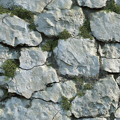 Rough eroded limestone with delicate moss traces seamless texture