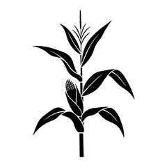 Corn Plant with Ear Silhouette Icon