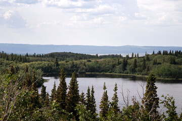 Lake surrounded by green trees