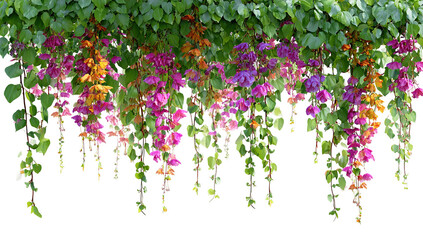A vibrant flower arrangement hanging from the ceiling in a restaurant, with a mix of colorful flowers and greenery, creating a lively and inviting atmosphere.