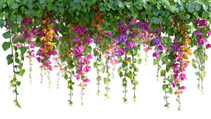 A vibrant flower arrangement hanging from the ceiling in a restaurant, with a mix of colorful flowers and greenery, creating a lively and inviting atmosphere.