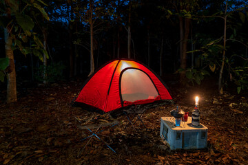 A tent set up in a green forest at night for outdoor camping and adventure