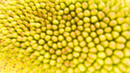 abstract pattern of ripe jackfruit skin texture (macro shot) 