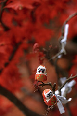 Small red daruma dolls in Katsuoji Temple in Autumn with red maple leaves at Minoh City, Osaka Prefecture, Kinki Region, Japan.