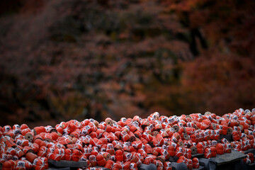 Small red Daruma dolls in Katsuoji Temple. A Traditional red Daruma doll is used as a symbol of determination in Japanese culture at Katsuo-ji temple, Osaka, Japan
