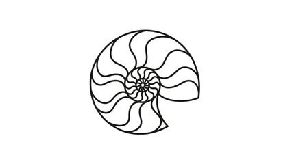 jellyfish on black background © khubaib