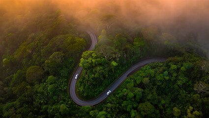 Aerial Drone View of Serpentine Winding Road at Sunrise Through Misty Tropical Rainforest with Cars