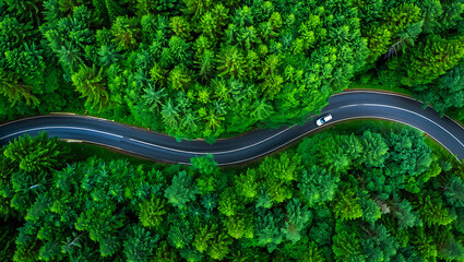 Aerial Top-Down Drone View of Graceful S-Shaped Winding Road with White Car in Dense Lush Green Forest