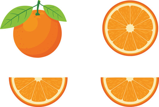 Fresh orange fruit vector set featuring whole orange, sliced pieces, citrus segments, juicy textures, and vibrant illustrations perfect for food, health, and packaging designs