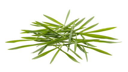 Fototapeta premium A delightful cluster of vibrant green tarragon leaves promising exquisite flavor for gourmet on transparent background