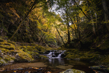 三重-【赤目四十八滝（紅葉）】