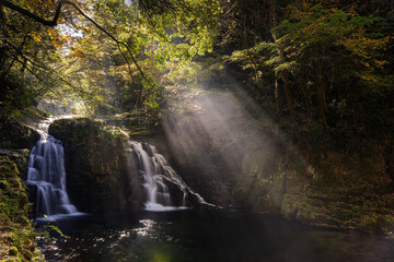 三重-【赤目四十八滝（紅葉）】