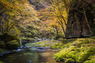 三重-【赤目四十八滝（紅葉）】