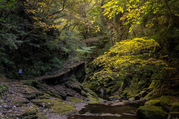 三重-【赤目四十八滝（紅葉）】