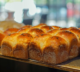 Freshly baked bread rolls with glossy golden crust and sesame topping arranged on a tray. Warm bakery lighting and shallow depth of field, ideal for bakery branding and food marketing