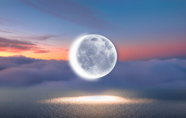 Fototapety na wymiar - Fototapeta24.pl