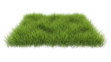 Lush green grass patch vividly symbolizing nature s fresh beauty growth Photorealistic 3D on transparent background