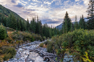 Rocky River Flowing Through Canyon at Sunrise, Mount Rainier National Park, Washington