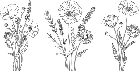 Three Line Bouquets of Poppies and Daisies flowers