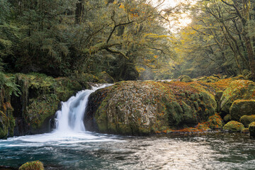 熊本-【菊池渓谷の紅葉】