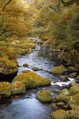 熊本-【菊池渓谷の紅葉】