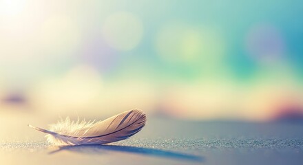 A single feather on a textured surface with a blurred background.