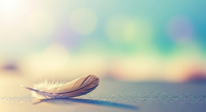 A single feather on a textured surface with a blurred background.