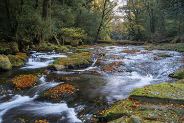 熊本-【菊池渓谷の紅葉】