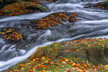 熊本-【菊池渓谷の紅葉】