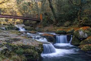 熊本-【菊池渓谷の紅葉】