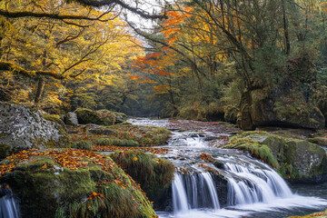 熊本-【菊池渓谷の紅葉】