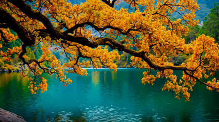 A vibrant yellow tree with green leaves overlooking a serene blue lake